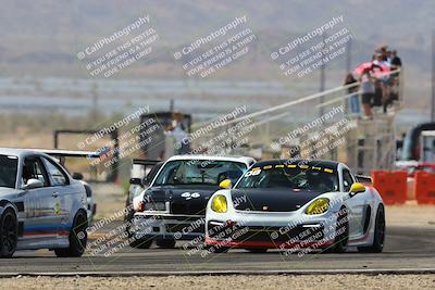 media/Mar-30-2025-Pro Autosports (Sun) [[34ff8f16e0]]/2-Blue-White Group/Main Race/